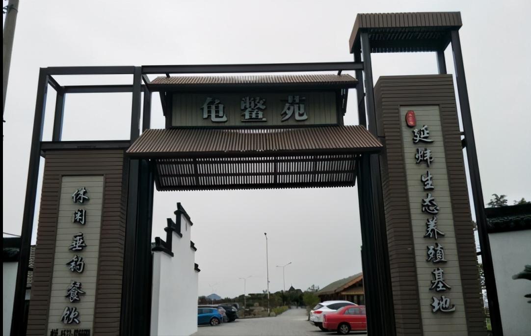 养甲鱼姚志刚,致富经姚志刚甲鱼