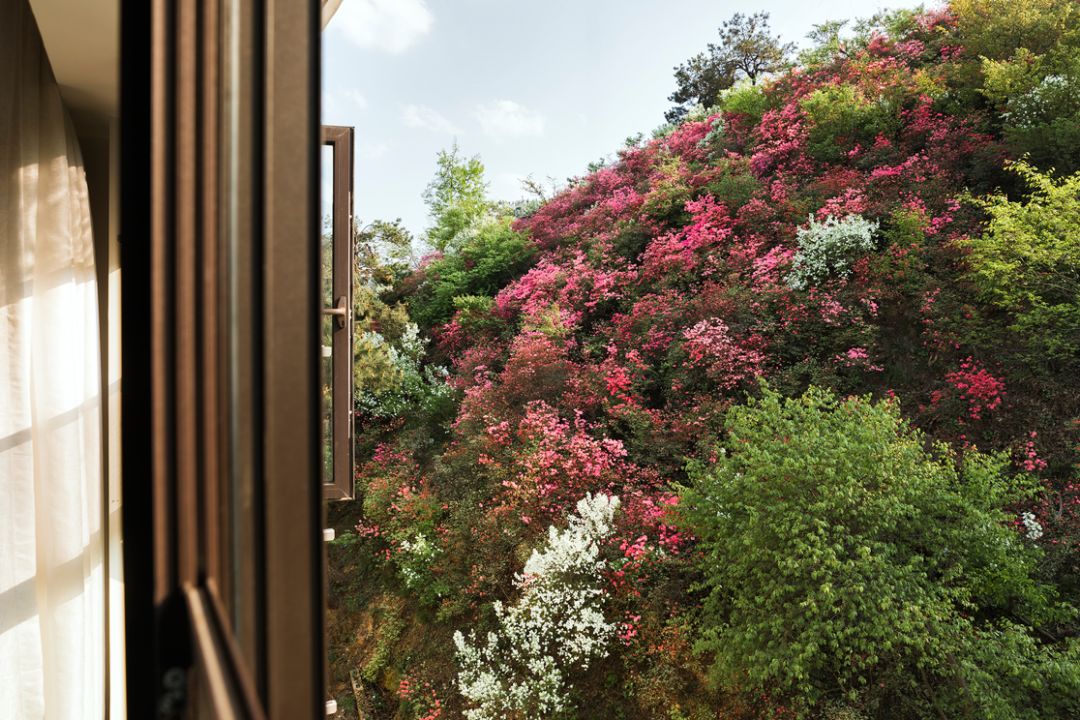 藏在武汉郊野的4家美宿来了，周末晚上来玻璃房看满天繁星