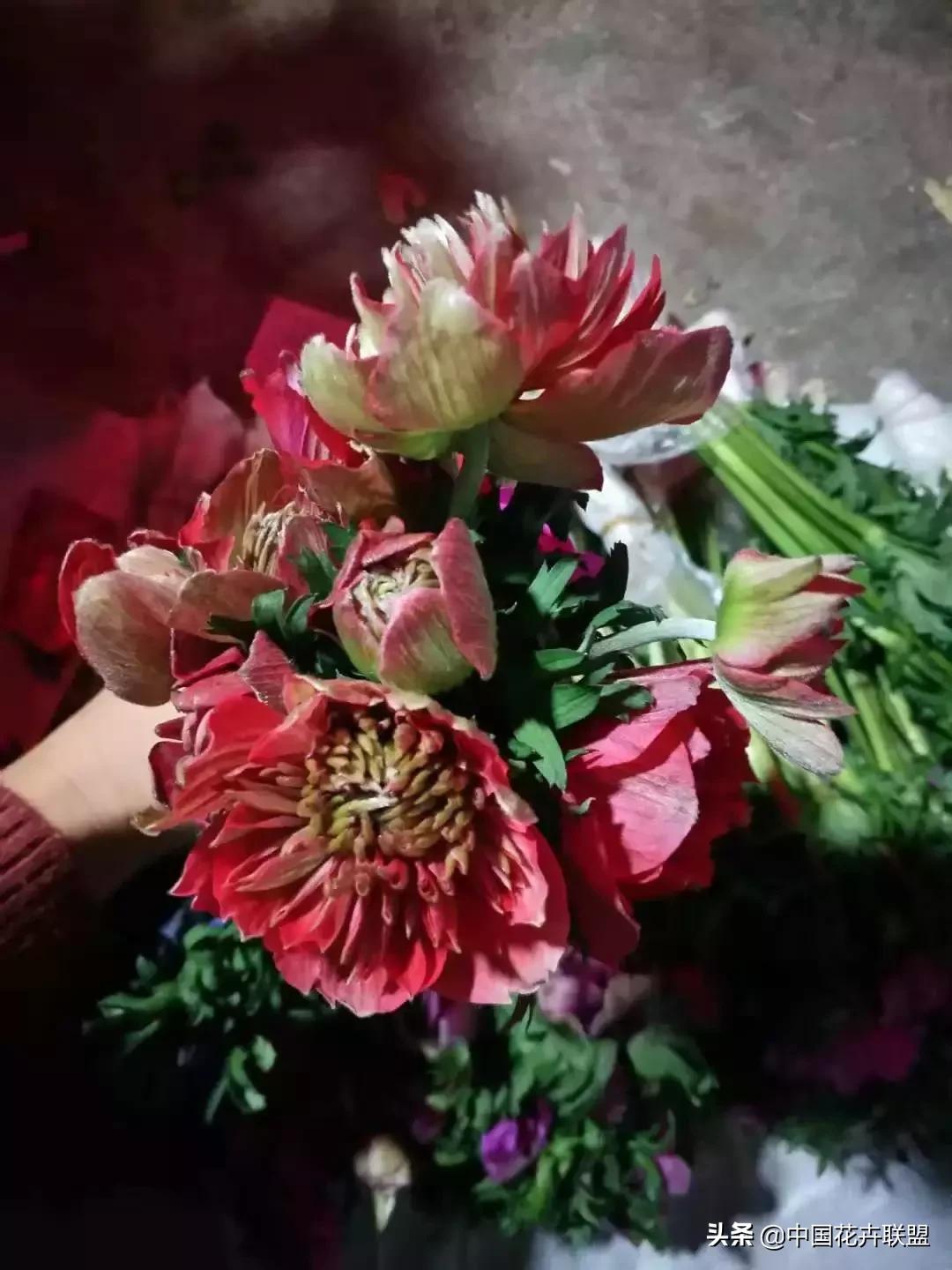 春天花市有哪些花材,便宜又大把的花材有哪些