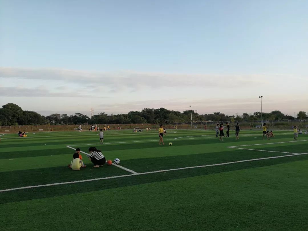 打击整治村霸调研,村霸回归全集视频