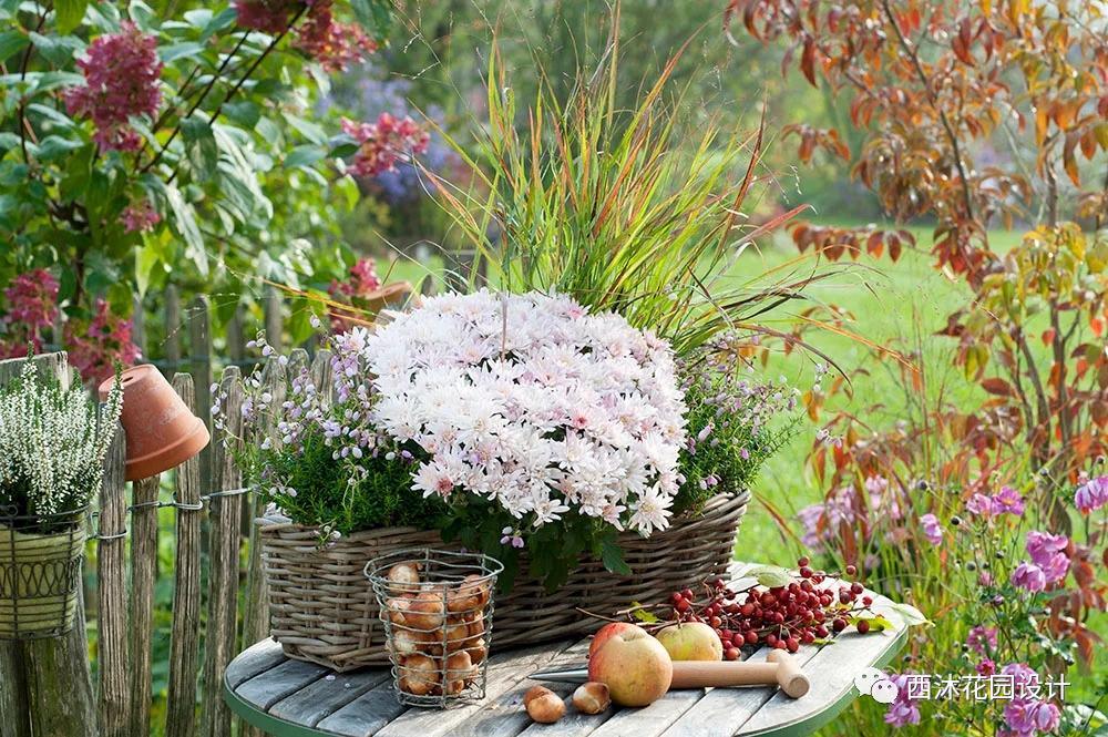 如果气温变冷需要准备什么,温度降到几度花搬到室内