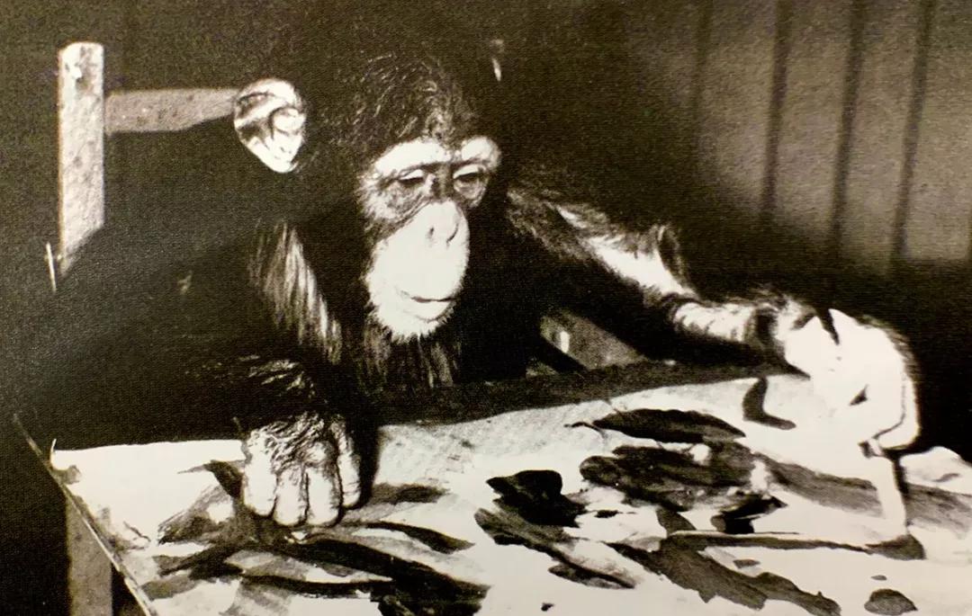 老鼠画画超简单,老鼠画画作品