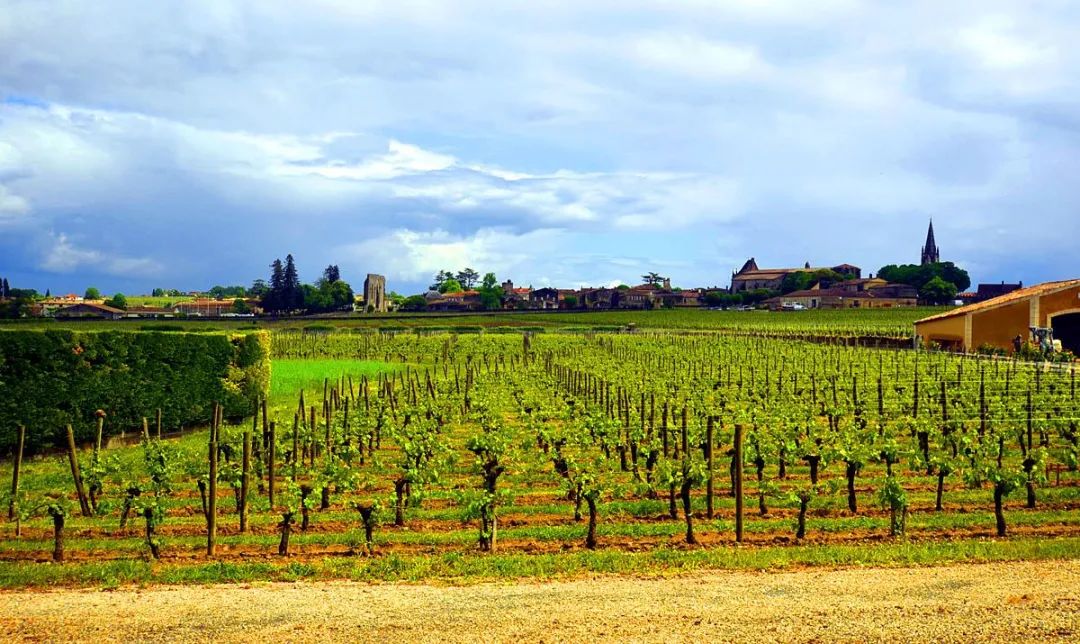 波尔多红酒有什么好处和坏处,波尔多红酒为什么是最好的