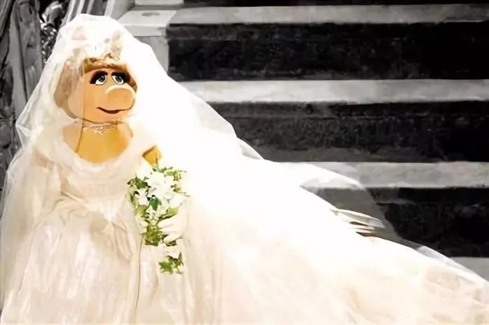 猪都拍时尚大片了，你还在穿妈妈给你买的红秋裤？