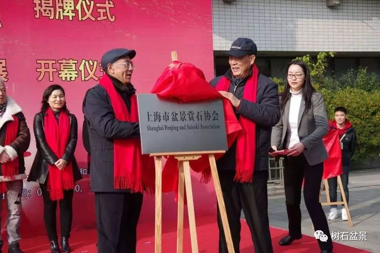 伟大使命复兴中国盆景艺术事业——2019中盆会大事回顾(下篇)