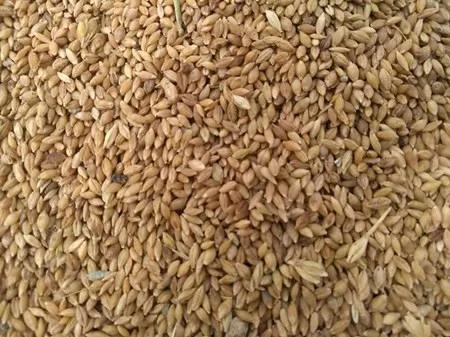 战疫助农滞销品突然销售火爆,战疫助农数据