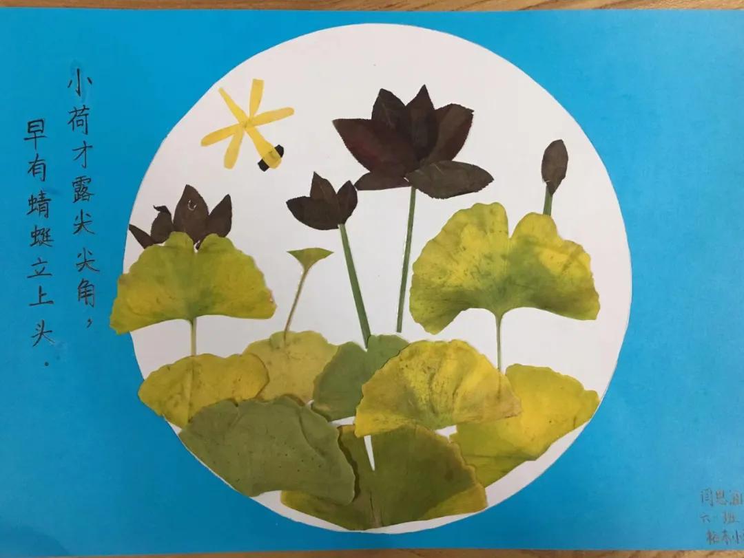 石家庄裕东小学东校区,石家庄裕东小学片内校区