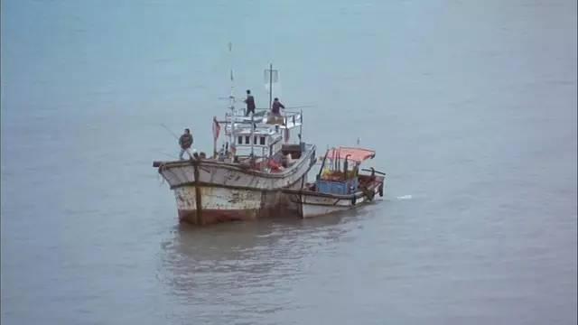 图解电影《弓》,从未见过如此独特的少女*处破**方式