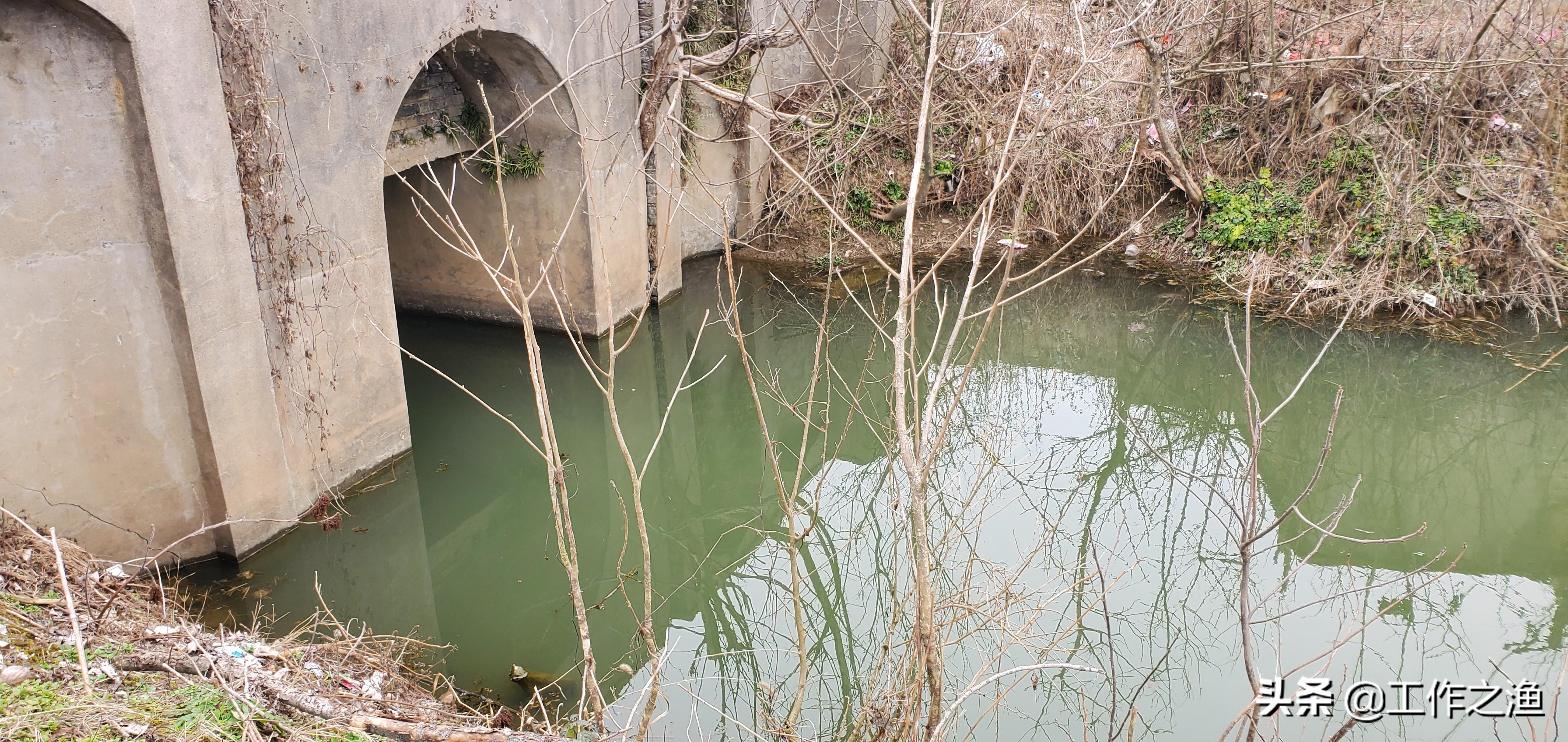 钓鱼双尾技巧,钓鱼双飞寓意