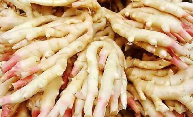 伏天扶阳的最佳方法,入伏吃什么食物祛湿气