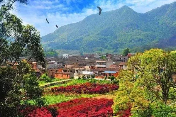 这就是福建,罗源一个正在崛起的城市