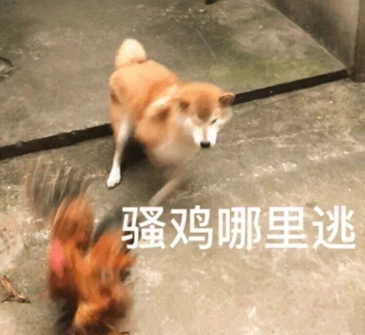 拔草向|范思哲Eros，十里骚风不如你，骚死别人骚自己。