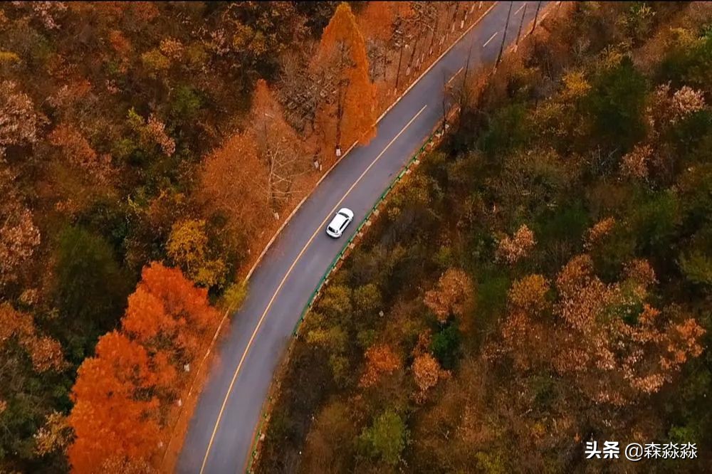 秦岭赏秋怎么玩才好玩呢,大秦岭山旅游攻略