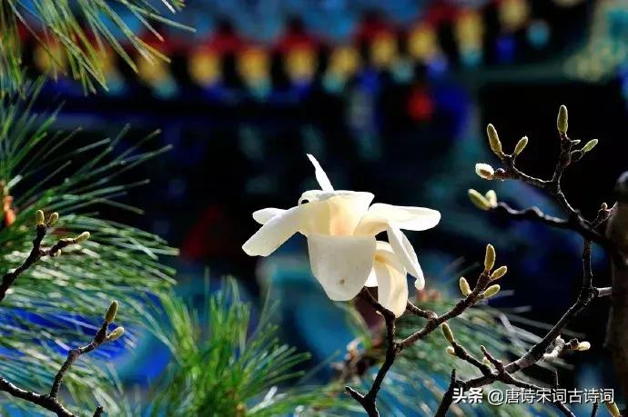 人生十首孤独绝美的诗词,闲适诗词50首