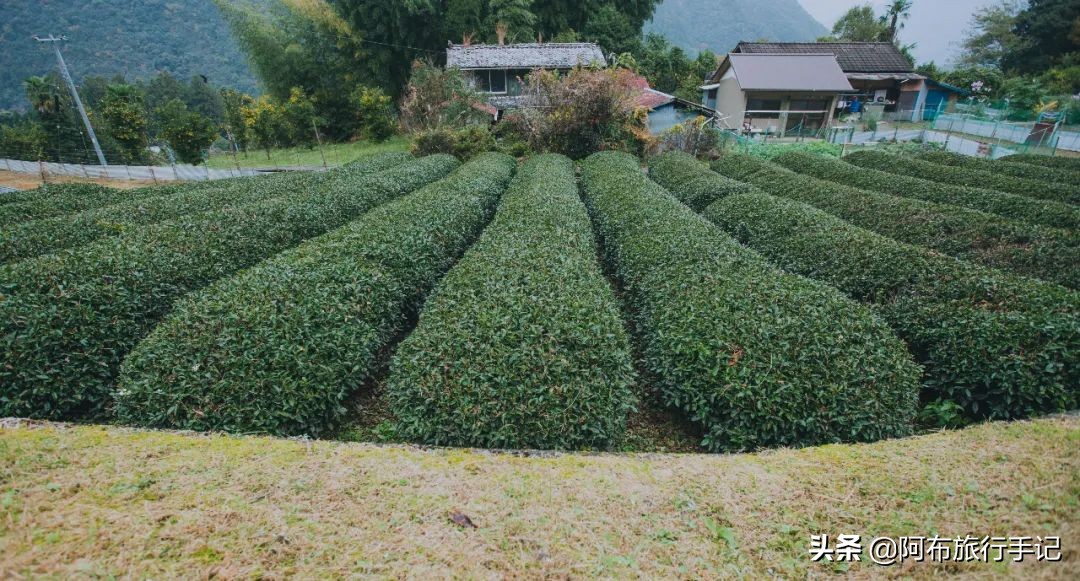 日本熊野古道拍摄,摄影师镜头下的景区