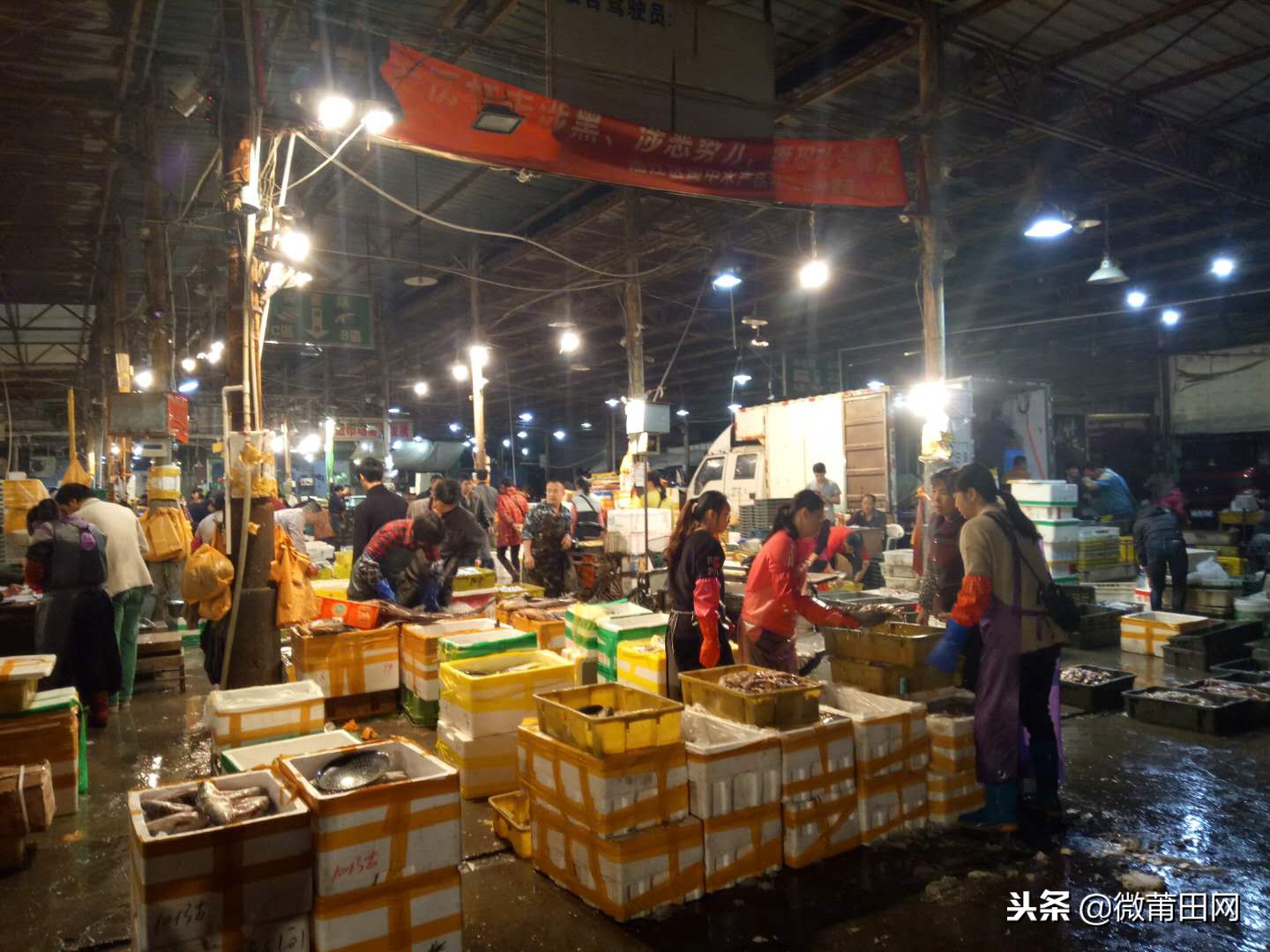 莆田的海鲜批发市场,莆田最大的海产品批发市场在哪里