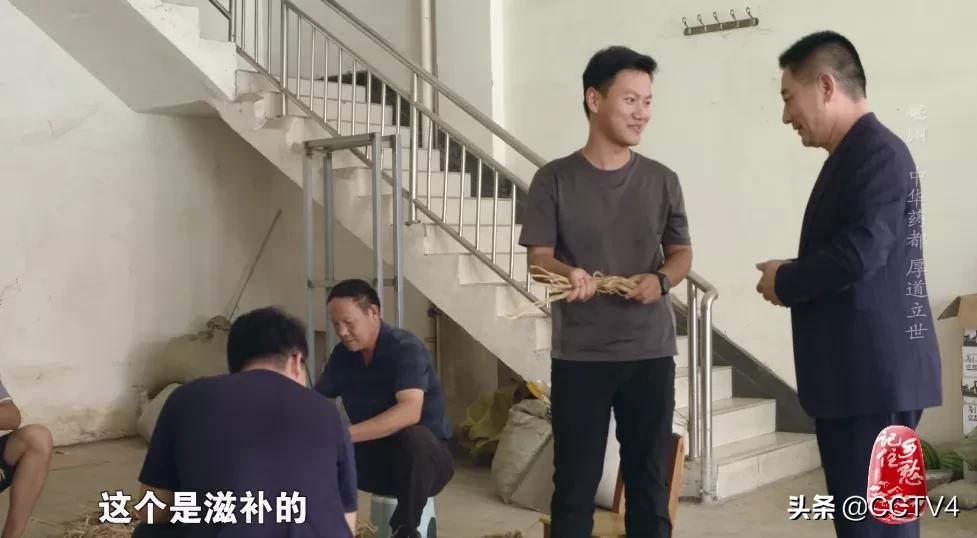 华佗故乡亳州药都之乡简介,亳州为什么被称为华佗故里