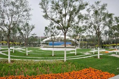 天津2022年四月开放的公园,期待天津这里将再添一片绿洲