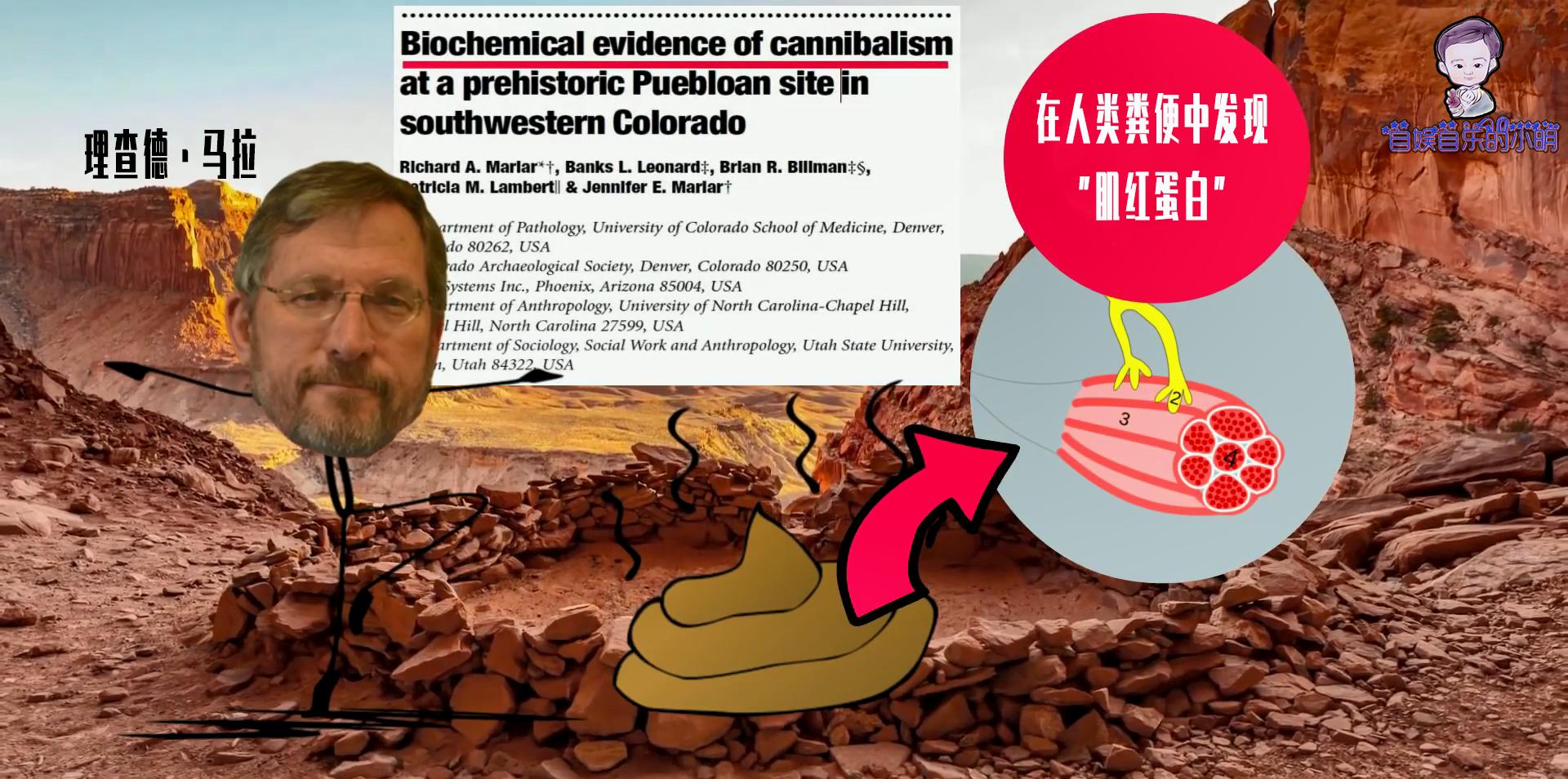 为什么不能吃别人的东西,为什么不能吃食肉动物