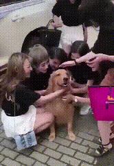 被猫狗咬伤如何正确处理,被猫狗咬伤十天了还能打针吗