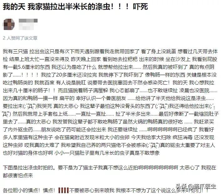 养了几年的猫有跳蚤,养了一年的猫还咬主人