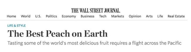 阳山水蜜桃的特点就是汁水十足,真正的浓缩精华