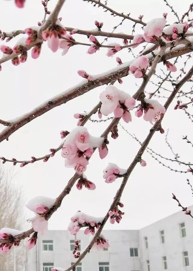 沈阳医学院在辽宁排名,沈阳医学院全面介绍