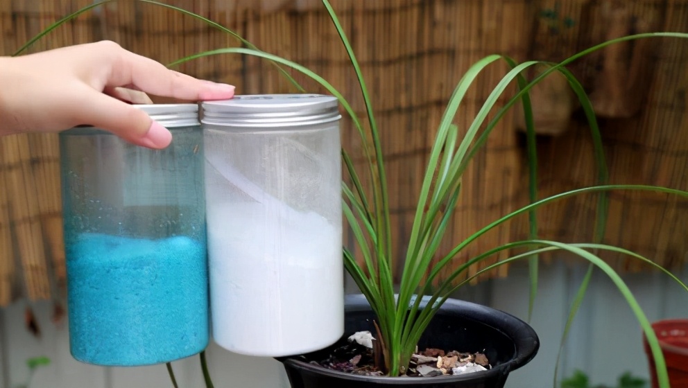 磷酸二氢钾和花多多2号同时用吗,磷酸二氢钾与花多多2号比较