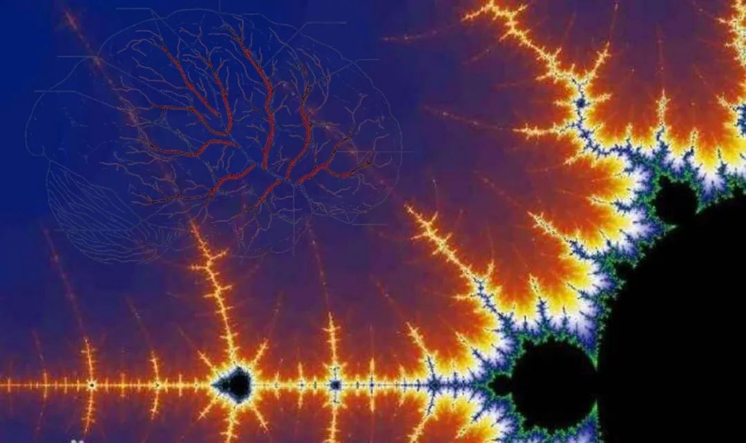 脑血管的照片,健康的脑血管图片