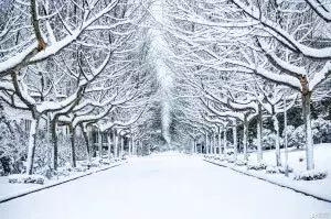 南师大马拉松,南京师范大学马拉松直播