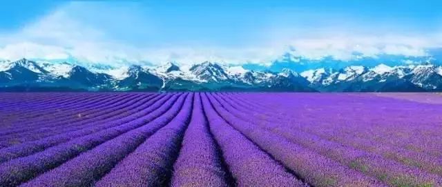 下半年旅行最佳时间表,2023最佳旅游时间表