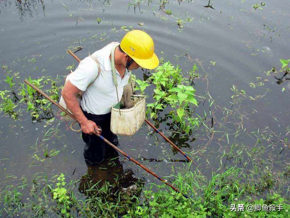 禁渔令禁用渔具,禁渔令渔具使用规定