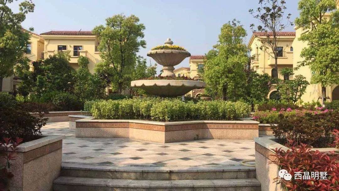 下一个教育强区，就在七大名校汇聚的青浦