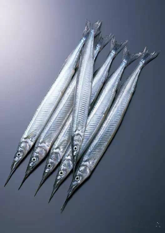 史上最全面的海鲜大咖,史上最全海鲜视频