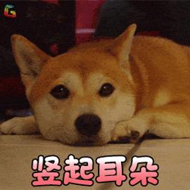 家里没有沃柑，不准娶我女儿？沃柑到底是有多赚钱？