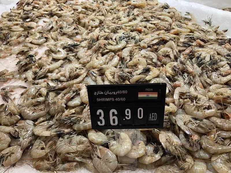 迪拜生活真实工资,在迪拜怎么降低生活成本