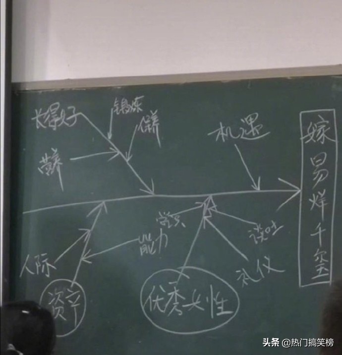 仓鼠和猫打架花了2000,和猫打架住院的仓鼠