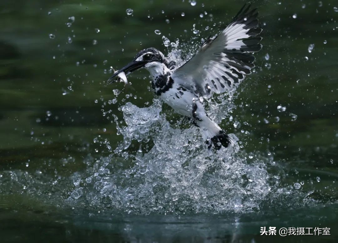 第16届国际摄影艺术展获奖作品,第29届全国摄影艺术展览作品集