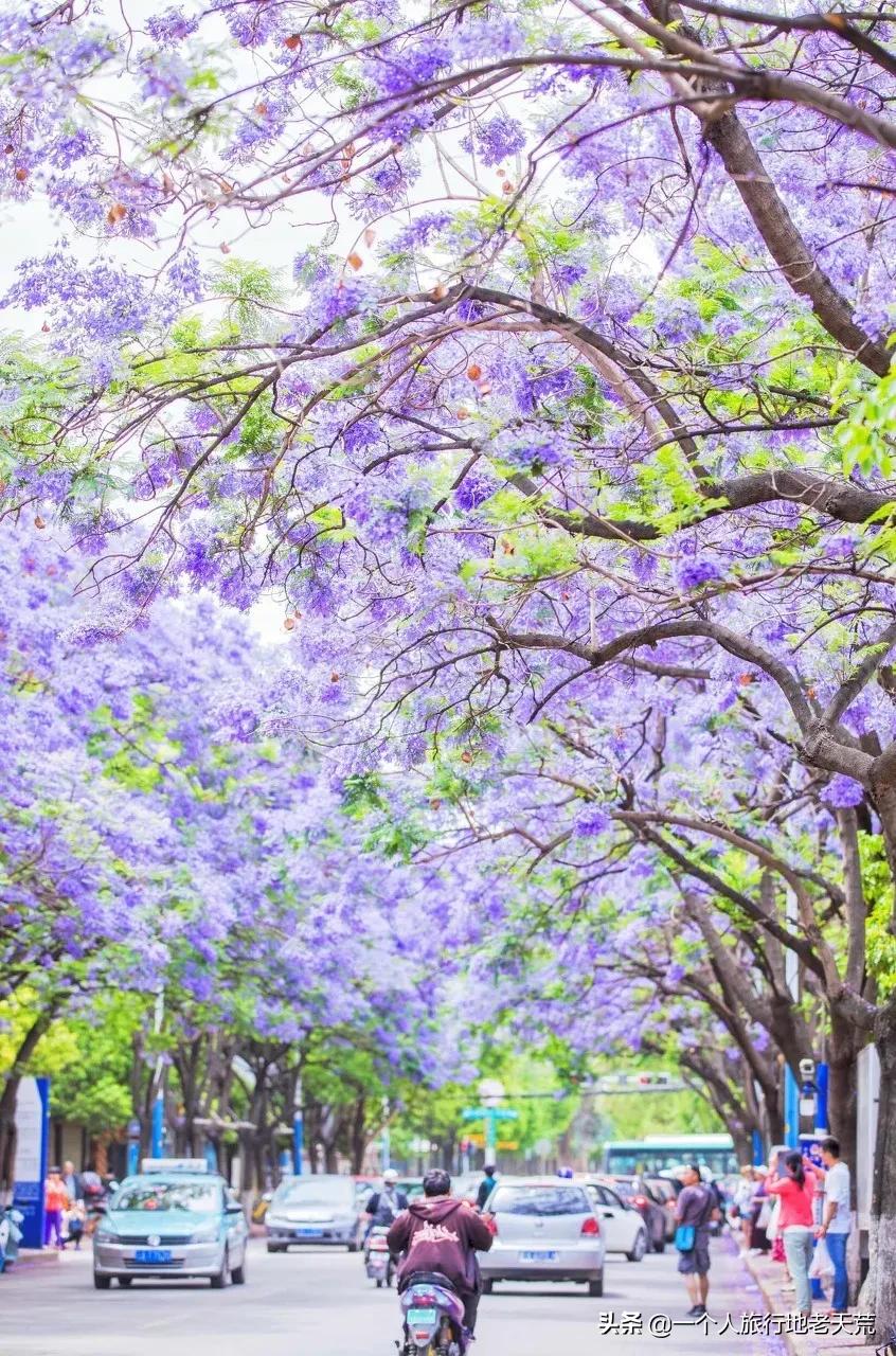 国内旅行必去的地方列表,国内必去的100个地方