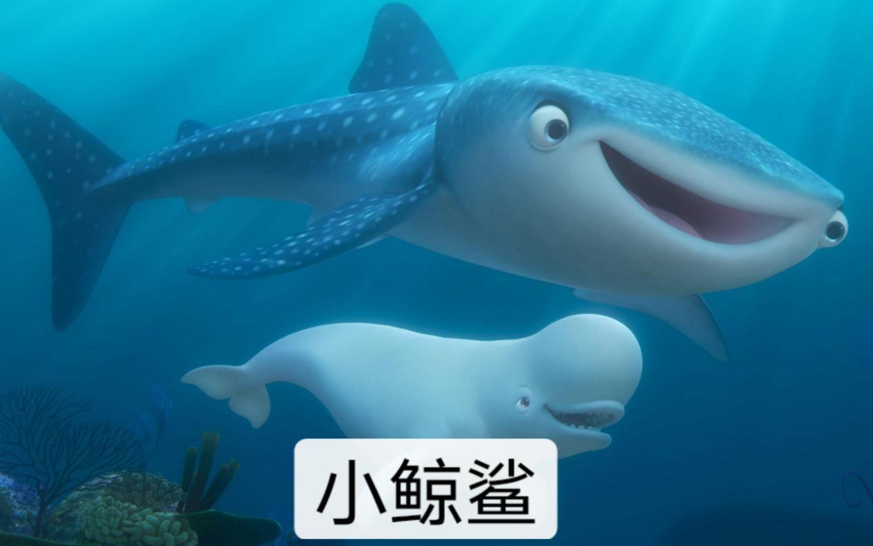 草帽团所有成员老了的样子,草帽团全部战死布鲁克靠果实存活