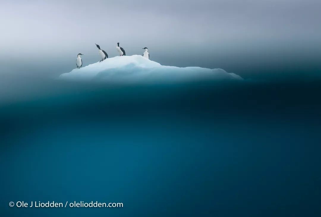汇率起起伏伏，自然旅行跟着这张表格走，最划算
