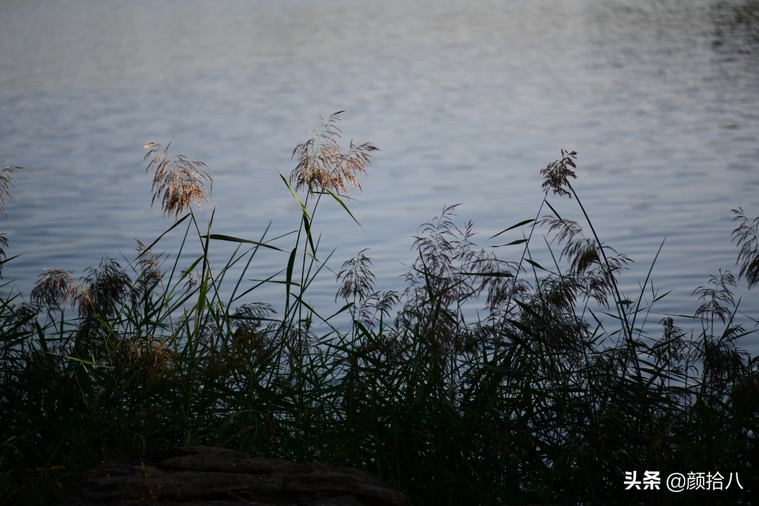 北京圆明园一日游推荐,圆明园秋色如画