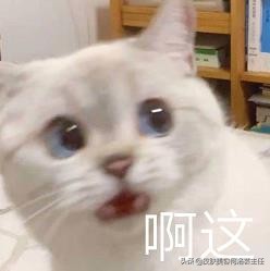 假性尖锐湿疣怎么根除,假性尖锐性湿疣可以不用治疗