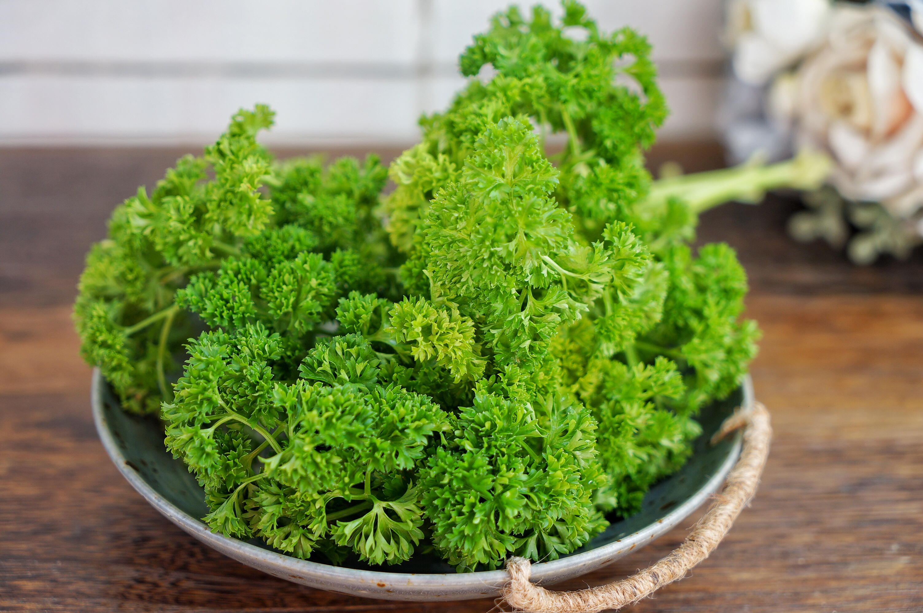 从南美的秘鲁进口水果到中国,秘鲁牛油果是哪里的