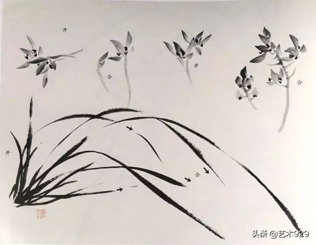 国画兰花画法免费技法教程,国画兰花绘画图