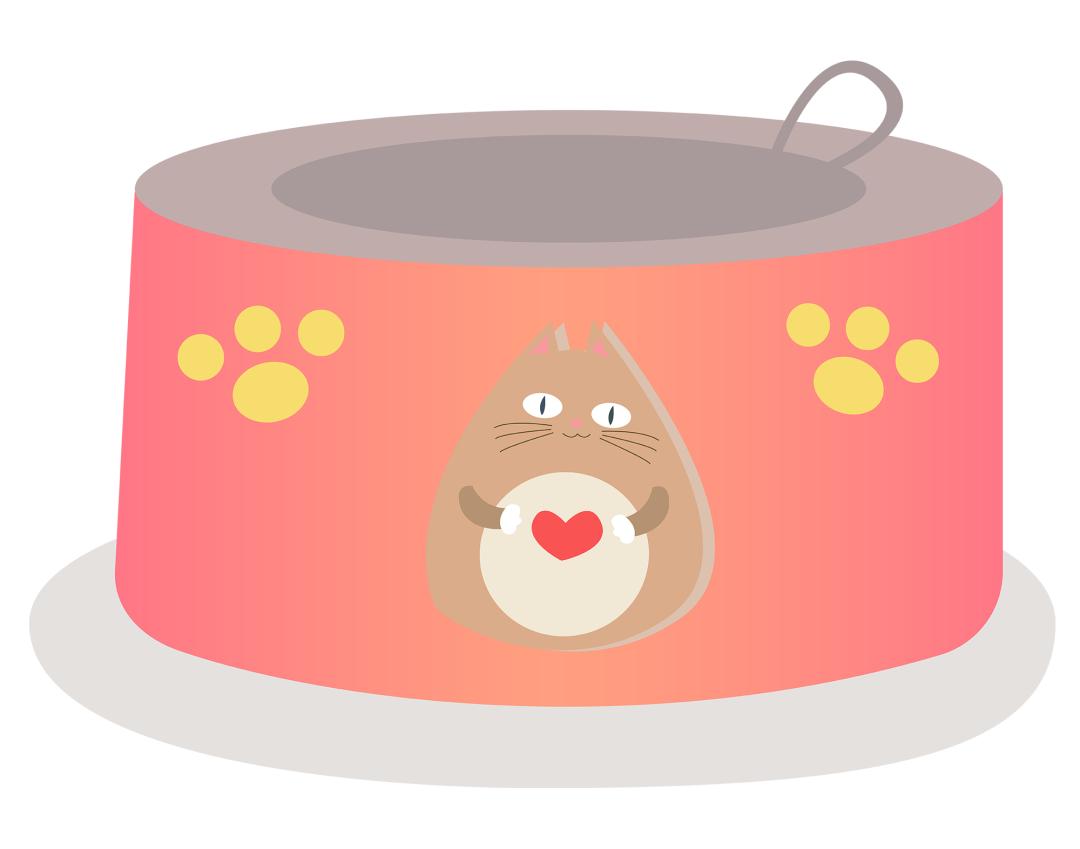 橘猫幼猫喂养指南,幼猫很活泼就是不吃东西