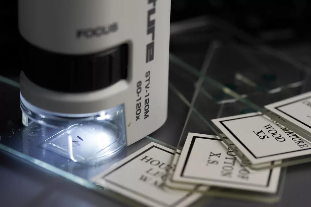 可随身携带的儿童显微镜,kenko儿童显微镜