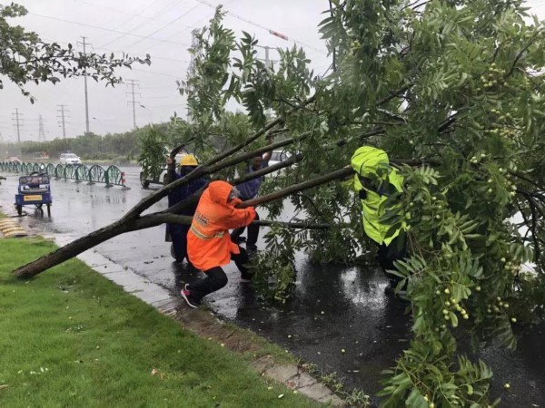 2018十大感人瞬间感谢你,谢谢2018完整视频