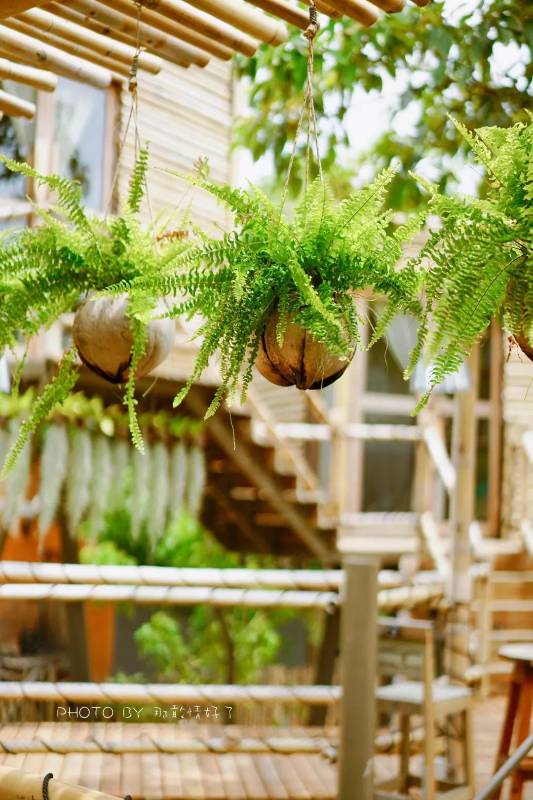 美国艺术家老夫妇定居苏梅岛十年，教游客画垃圾桶，唤醒环保意识