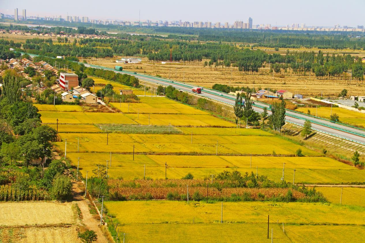 乡土散文,乡土散文经典作品